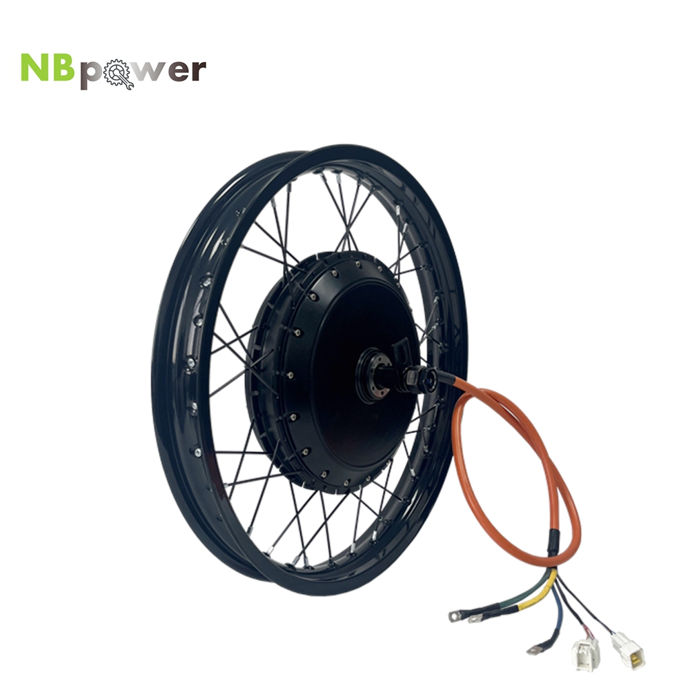 NBpower/170mm Dropout QS 273 4 - Qs Motor 273 8000W Hub Motor reseña y precio